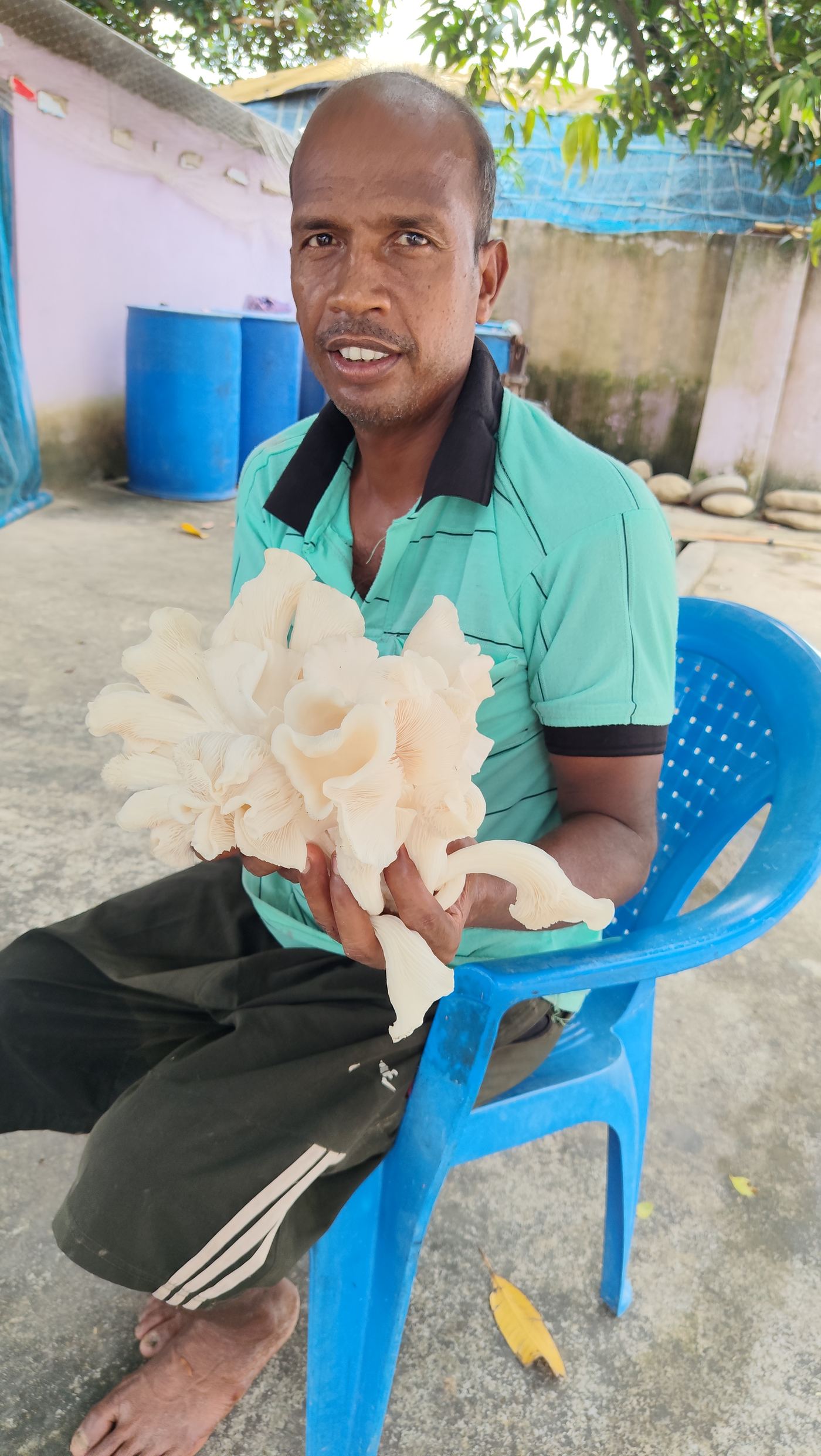Farmer at Amrit Bhumi Krishi Firm holding a freshly harvested bunch of oyster mushrooms